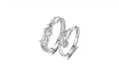 ROGA S999