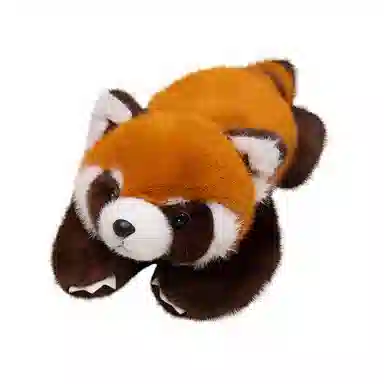 lionf 50cm60cm80cm