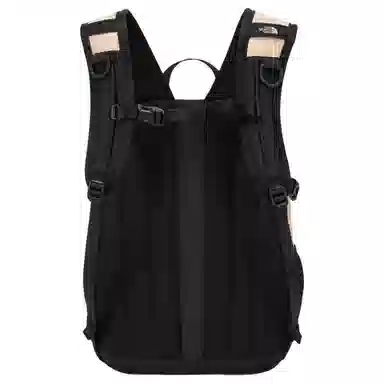 The North Face 20L Pink Backpack