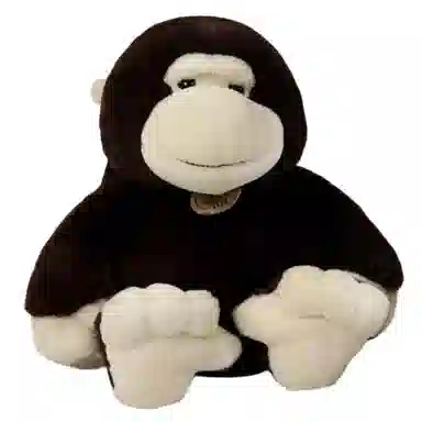 25cm