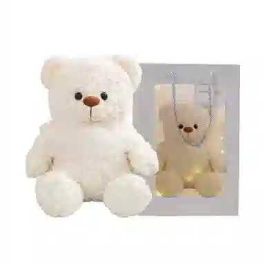 35cm50cm60cm