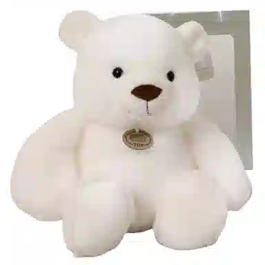 25cm