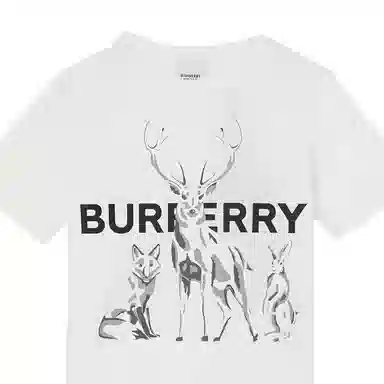Burberry FW22 T