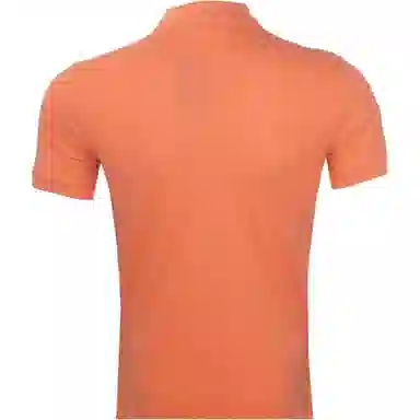 Ralph Lauren LogoPolo