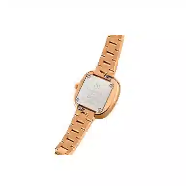 SMART ROCK SR603-E424A