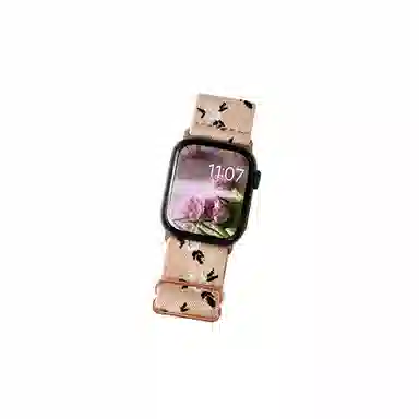 Akkerds Apple watch