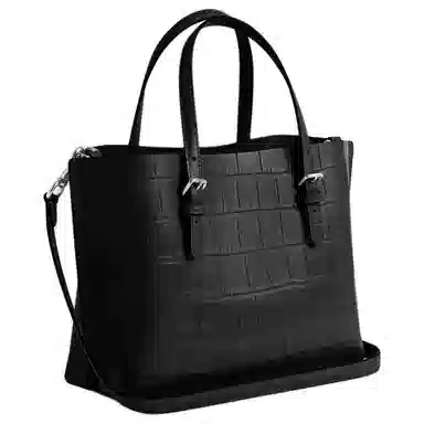 Coach Mollie Tote 25