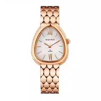 SMART ROCK 30 25*.30mm SR605-L484A