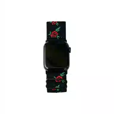 Akkerds Apple watch