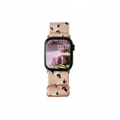 Akkerds Apple watch
