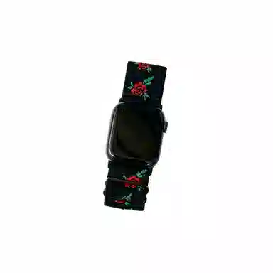 Akkerds Apple watch