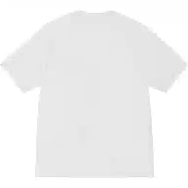 Stussy x OUR LEGACY FW24 WORK SHOP COLLEGIATE TEE PIGMENT DYED logoT