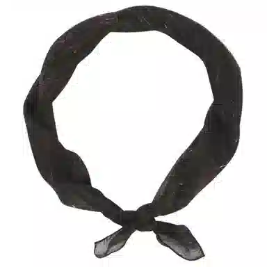 LARDINI