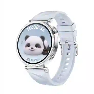 biaodaige watch4rogt5pro