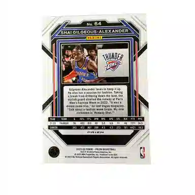 PANINI SGA prizm