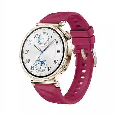 biaodaige watch4rogt5pro