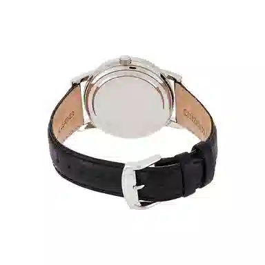 Citizen Eco-Drive Men's Watch