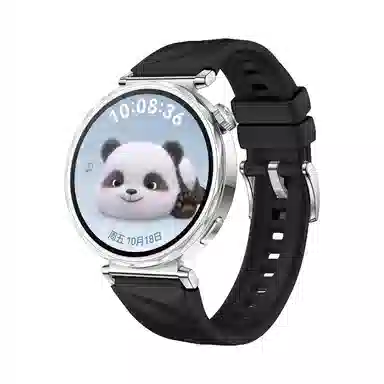 biaodaige watch4rogt5pro