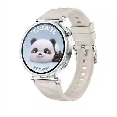 biaodaige watch4rogt5pro