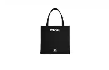 FION Tote