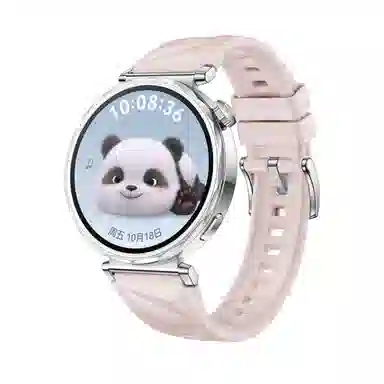 biaodaige watch4rogt5pro