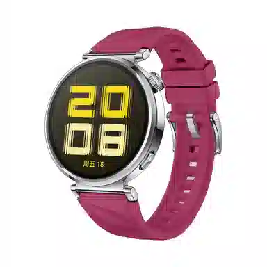 biaodaige watch4rogt5pro