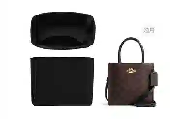 CoachCally 17 mini COACH