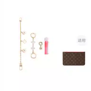 LV neverfull