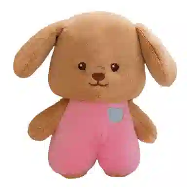 23cm