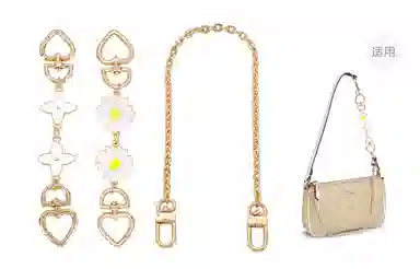 COACHnolita19 diy