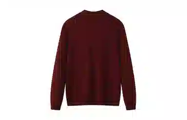 恒源祥 纯色半高领纯羊毛针织衫毛衣 男款