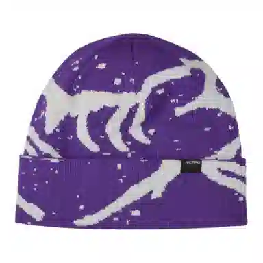 Arcteryx Logo