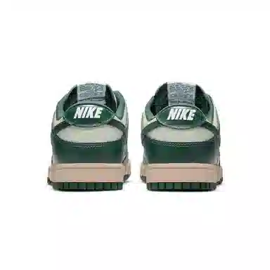 Nike Dunk BB Cool