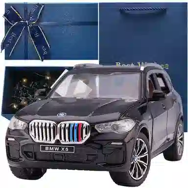TY MODELS BMW X5 124