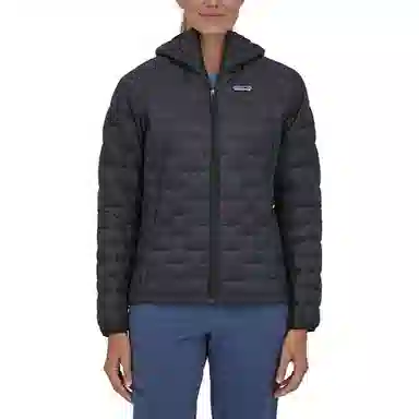 patagonia Micro Puff Logo