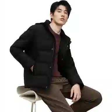 红豆 时尚舒暖鹅绒羽绒服 男款