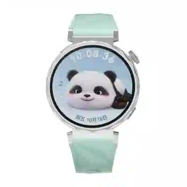 MSSM watch GT5GT418mm 41