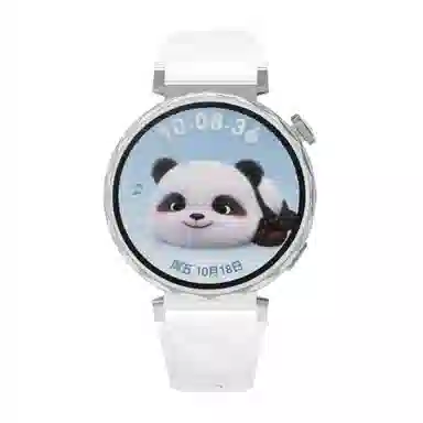 MSSM watch GT5GT418mm 41