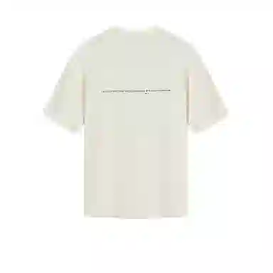 Palladium T