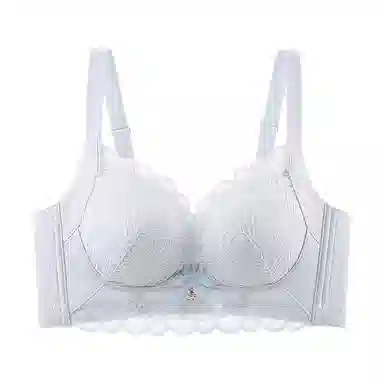 欧迪芬 纯欲蕾丝舒适聚拢上托无钢圈美背文胸 女款