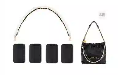 bag22