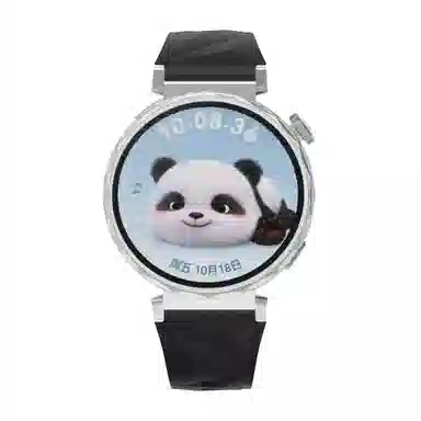 MSSM watch GT5GT418mm 41