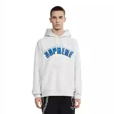 Supreme FW20 Week 1 Icy Arc Hooded Sweatshirt Logo