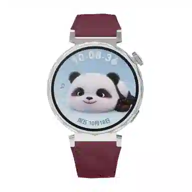 MSSM watch GT5GT418mm 41