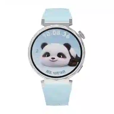 MSSM watch GT5GT418mm 41