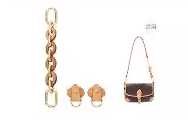 LOUIS VUITTON Diane PM