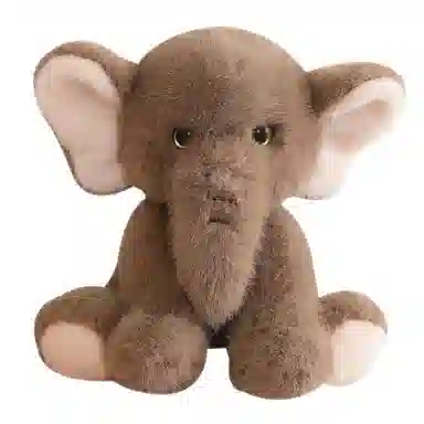 lionf 23cm35cm