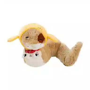 20cm28cm
