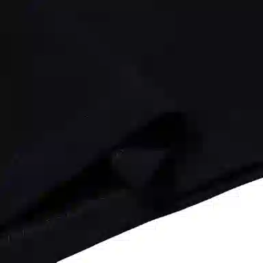 Alexander McQueen SS22 LogoPolo