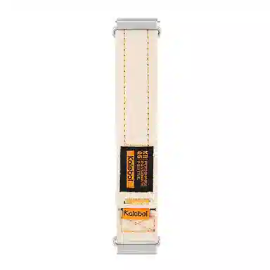 Akkerds GT5 gt449mmwatch4progt3watch